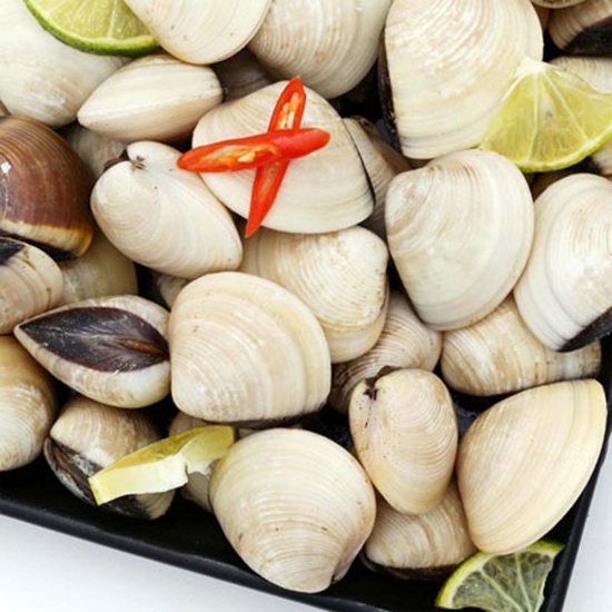 Nghêu biển thiên nhiên sống